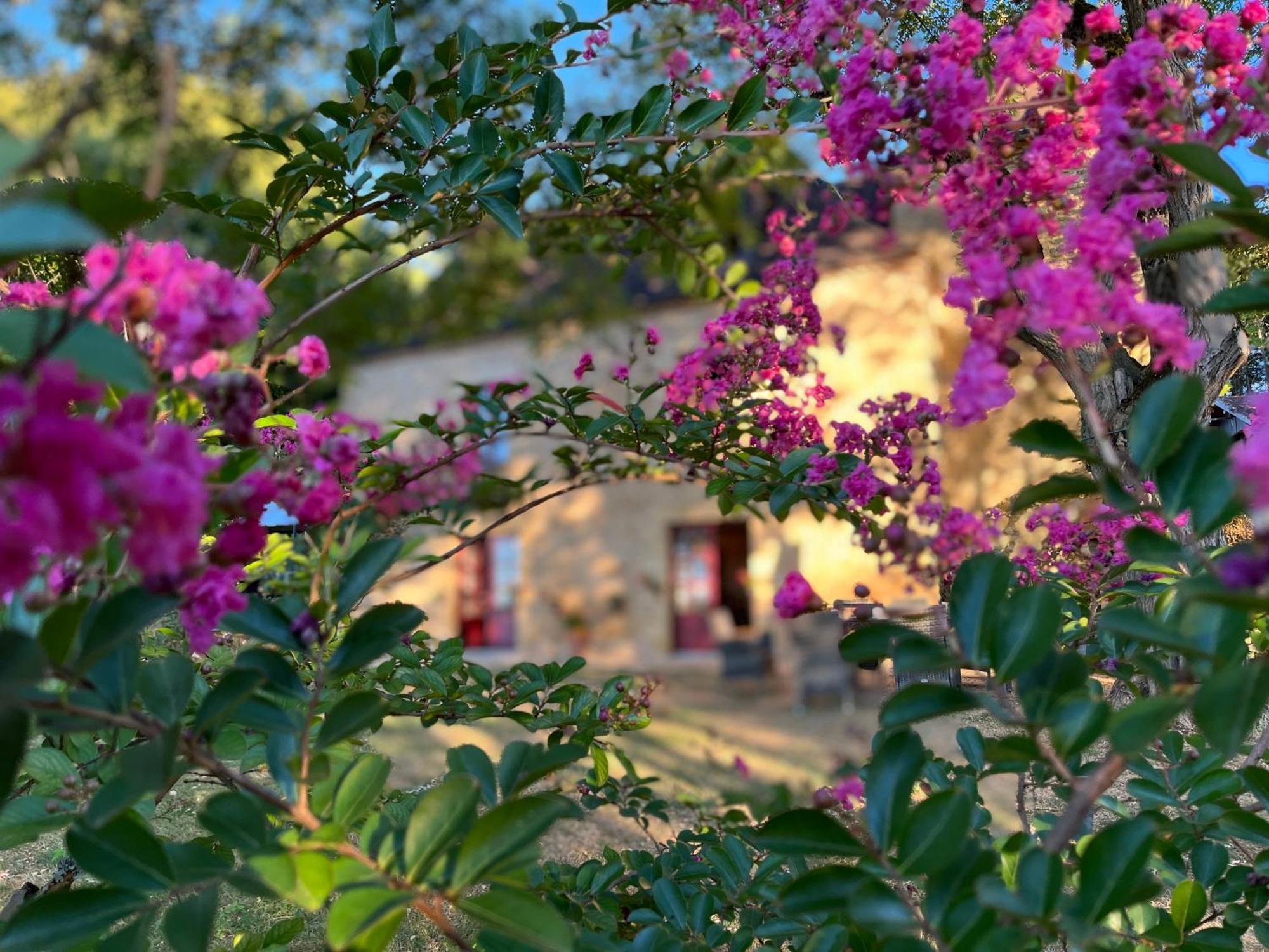 Roquebrune Saint-Alvere Экстерьер фото